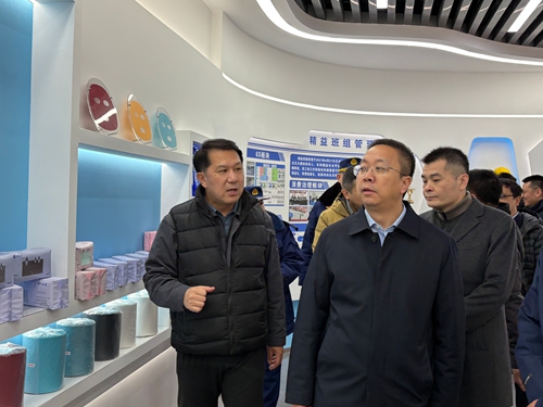 天津經(jīng)濟(jì)技術(shù)開發(fā)區(qū)黨委書記、管委會(huì)主任洪世聰一行赴東綸天津公司安全檢查和慰問